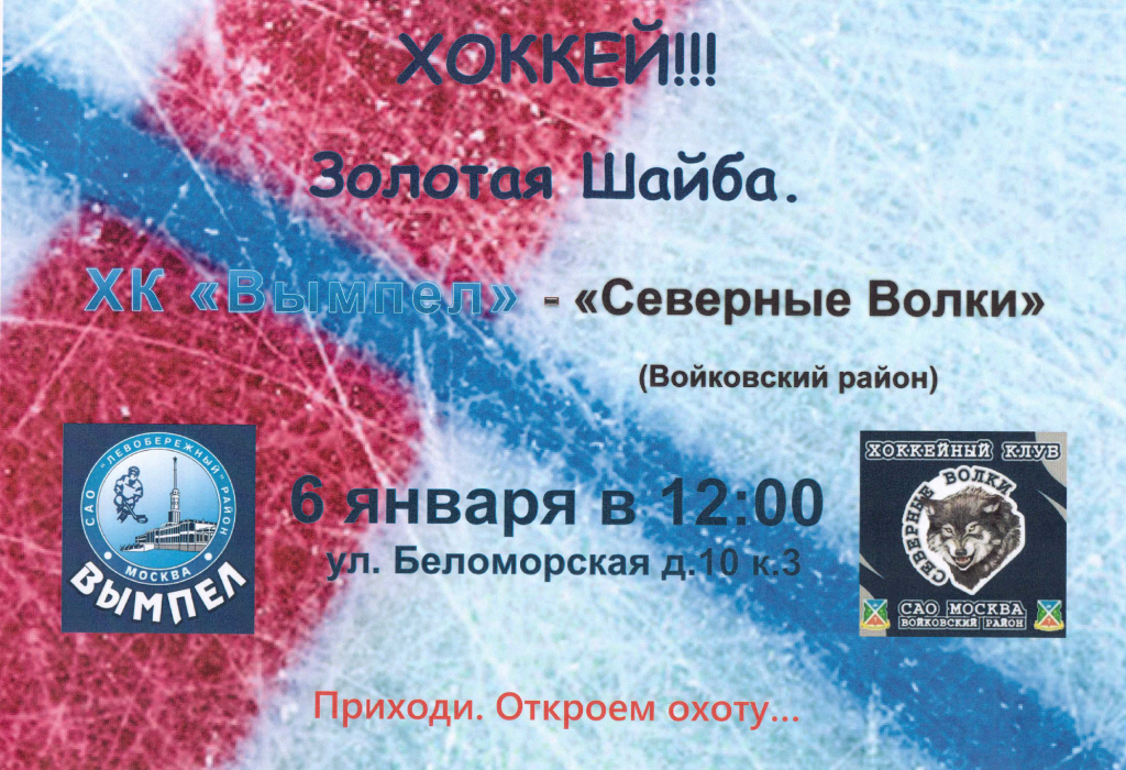 золотая шайба1.png