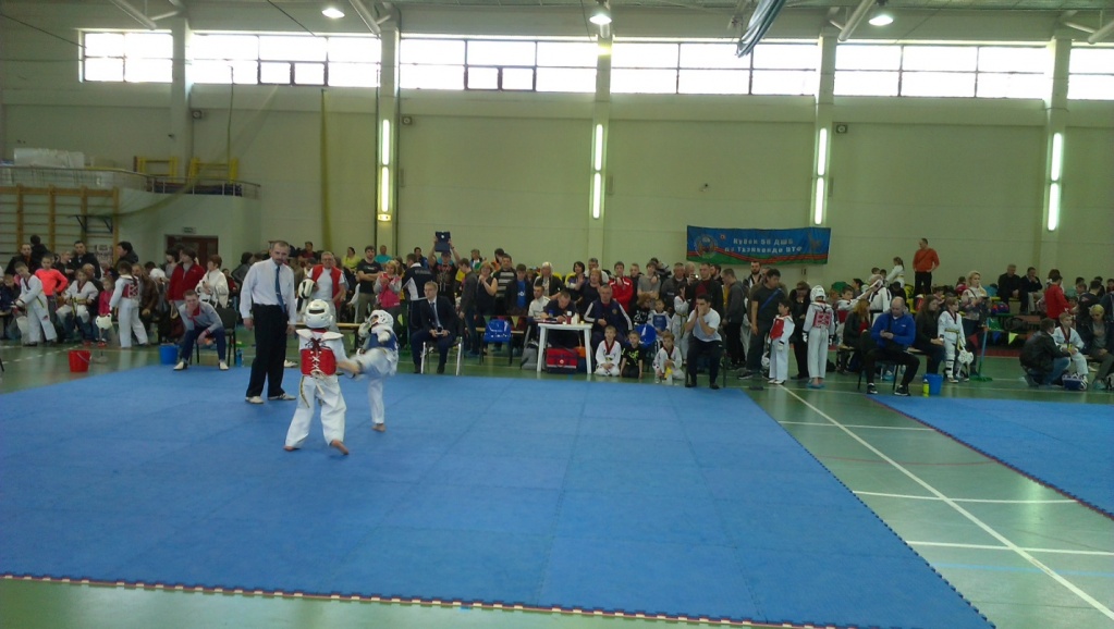 VIII турнир по тхэквондо (ВТФ).jpg